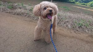 今日も元気！！