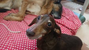 みんな落ち着いてます