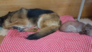 慣れたもんだ！