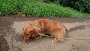 今日も元気！！