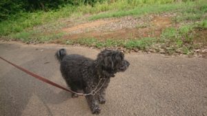 今日も暑いわぁ