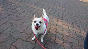 夜の静かな時間