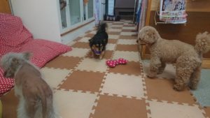 それぞれの過ごし方