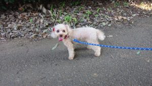 静かになりました