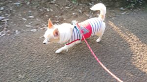 広くつかえるよ？