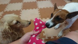 雨降り部屋では