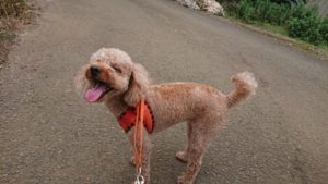 おおおお(￣▽￣;)