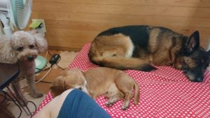 静かなときもあるんです！