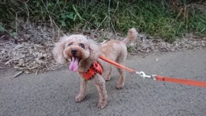 みんなまったり