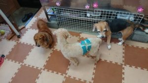 静かなメンバー