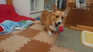 遊んで選んで休んで