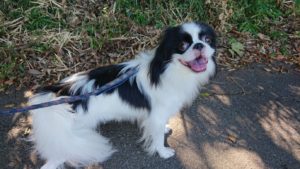 暑くなりそうね 2018/8/31