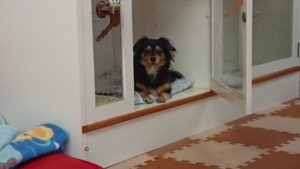 掃除！遊び！！ 2018/8/31