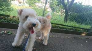 みんな元気ね(⌒‐⌒)