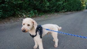 警戒されてる！