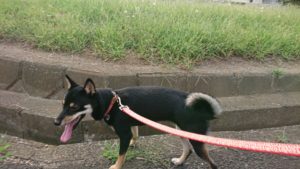 元気爆発オロナ・・・