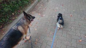 またーりと 2018/8/31