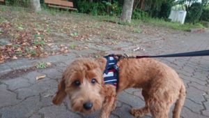 静かなり 2018/8/30