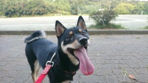 また静かになった夜