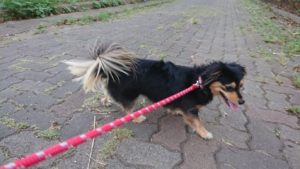 夜の時間 2018/9/5