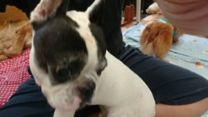 静かですよ(⌒‐⌒) 2018/9/7