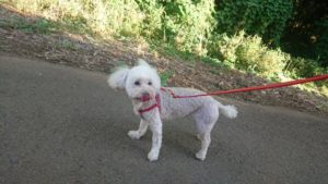 寝る前に 2018/9/8