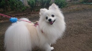 朝も元気！ 2018/9/10