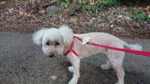 朝ちょっと過ぎの時間 2018/9/12