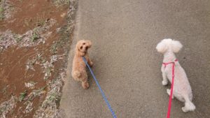 いいね！ 2018/9/12