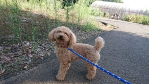 出ないの？ 2018/9/13