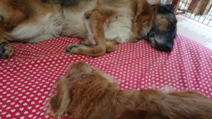 入ってるときは 2018/9/13