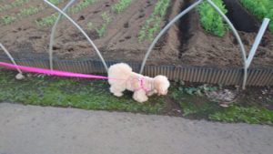 過ごしやすい夜