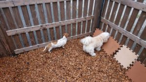 今のうちに！！ 2018/9/30