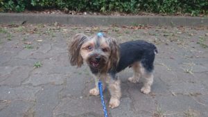 夜のラン 2018/9/4