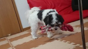 少しずつ 2018/9/1