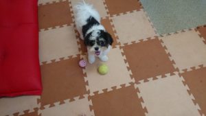 遊び組、休み組 2018/9/5