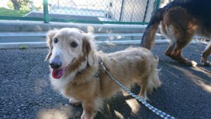 晴れはいいけど 2018/9/9