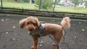 涼しい！ 2018/9/11