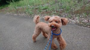 ゆっくりと 2018/11/16