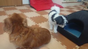 大分(おおいたじゃないよ) 2018/9/2