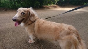 朝の時間 2018/9/8