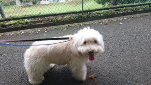 仲良くできるかな？ 2018/9/29