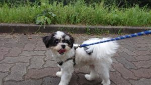 てぁ～！ 2018/9/1