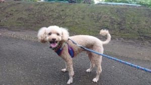 静かですね 2018/9/15