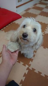 やるぜぃ！！ 2018/9/29