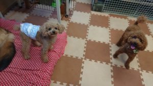 お昼のお時間 2018/10/7