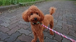 みんなで 2018/10/7