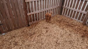 お昼のお時間 2018/10/8