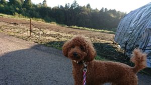 相手のことを 2018/10/10