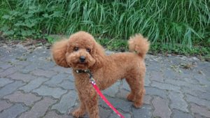 夜のお時間 2018/10/10